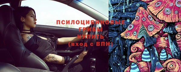 Альфа ПВП Майский