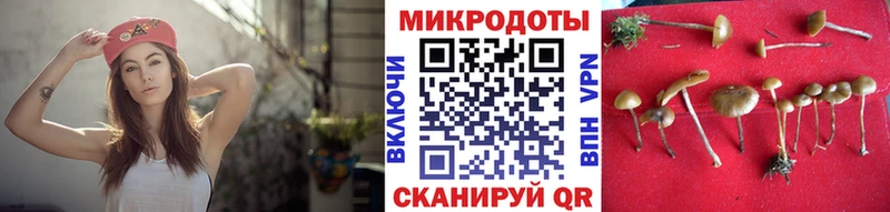 Псилоцибиновые грибы ЛСД  KRAKEN зеркало  Зерноград 