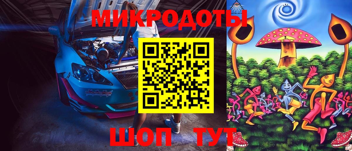 Псилоцибиновые грибы мицелий Зерноград