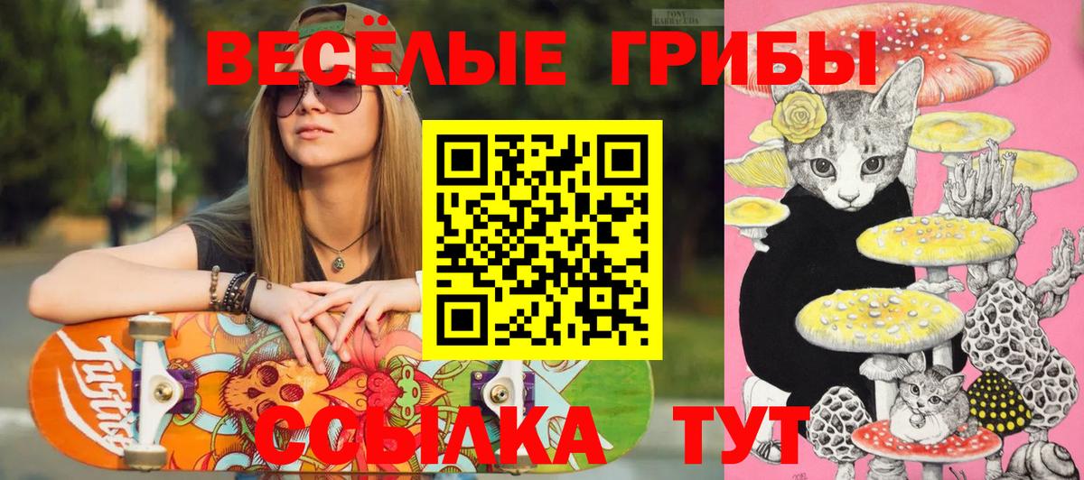 Псилоцибиновые грибы Psilocybine cubensis Зерноград